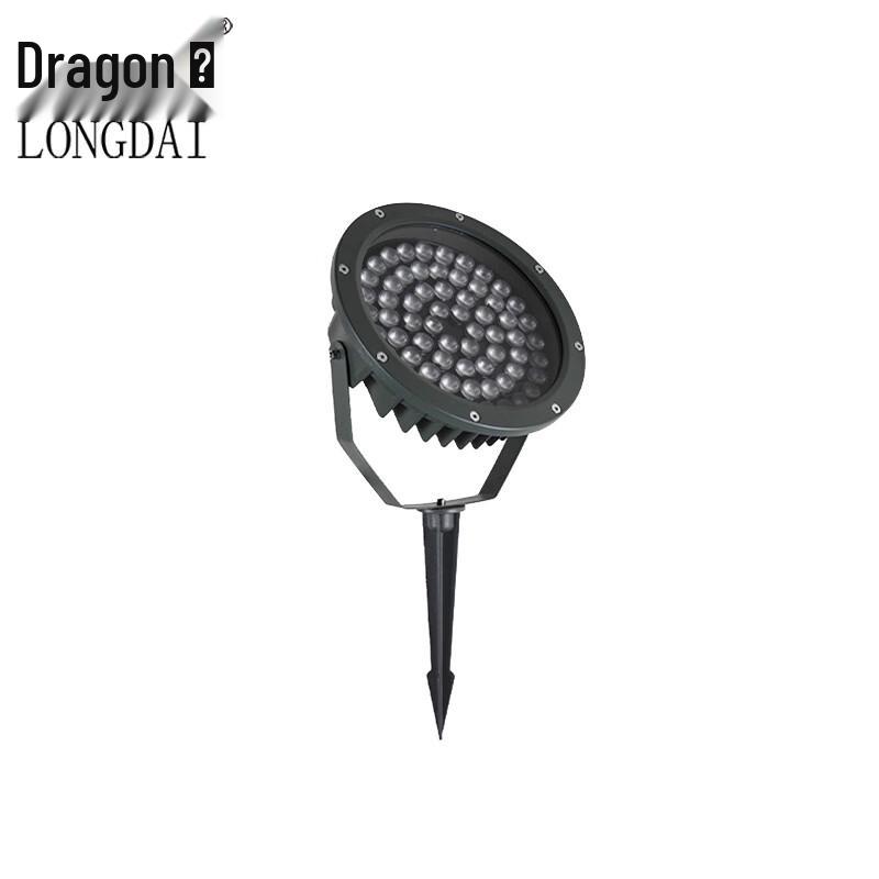 Longdai LX Outdoor LED Landscape Floodlight