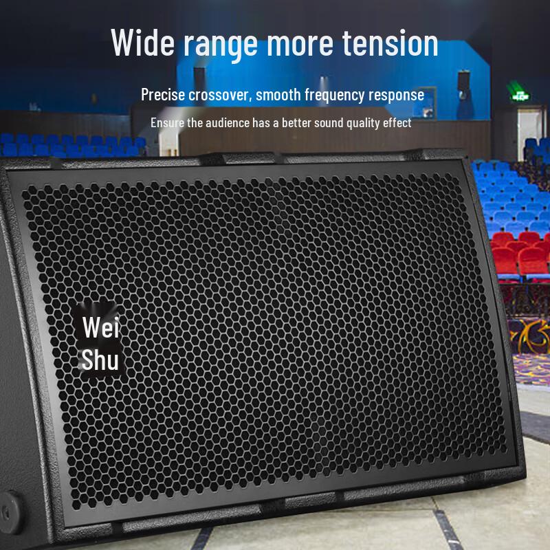 Weishu MP24 15-inch Professional Active Conference Speaker (CN Version)