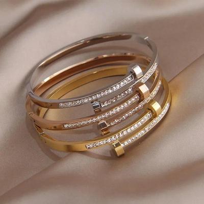Exquisites Titanstahl-Damenarmband mit Zirkonakzenten - Trendiges, Nischen-Design