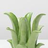 Creative Resin Handicrafts Realistic Aloe Vera Ornaments Plant Succulent Sculptures Decorative Figurines Home Decoration