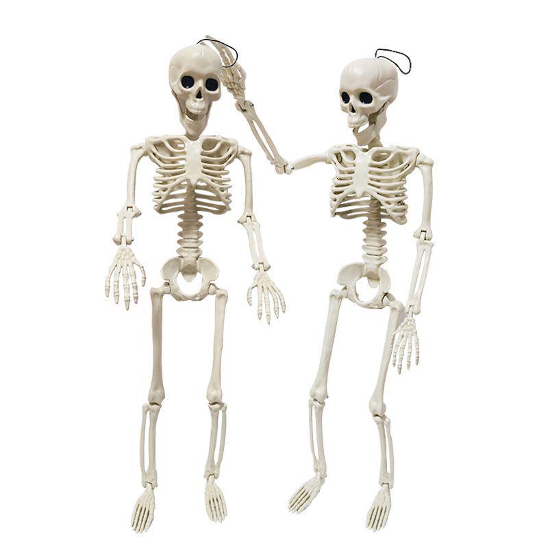 Halloween 60cm Human Skeleton Decoration for Haunted House Festival Props