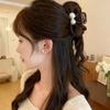 2025 High-End Pearl Claw Clip: Small Shark Clip for Women's Updo Hair Accessories