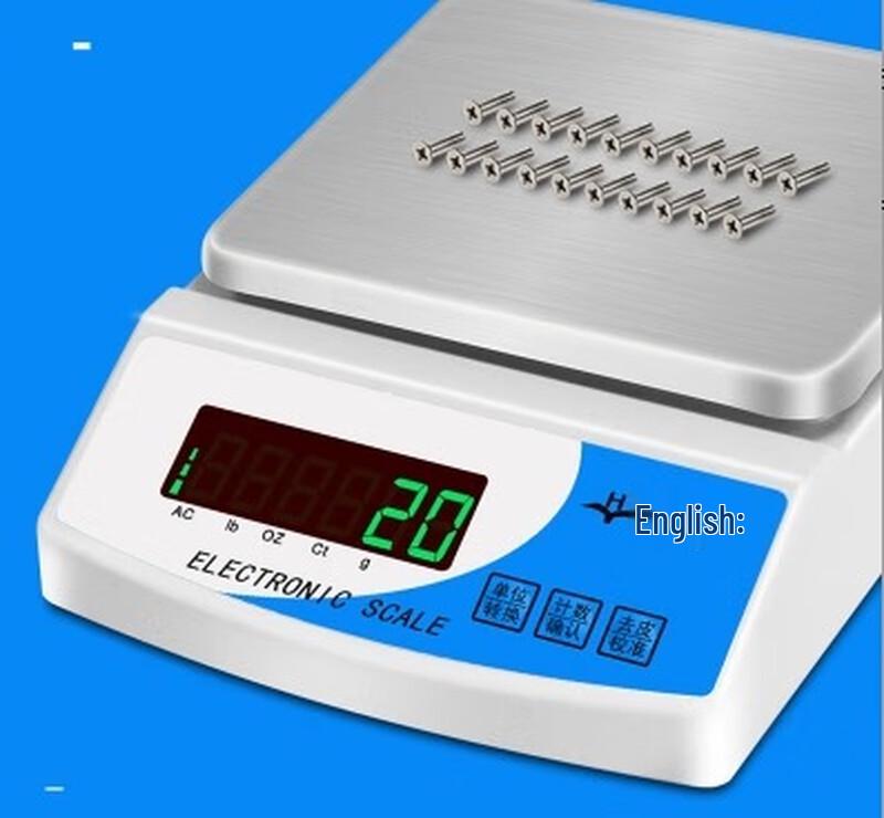 Precision Digital Balance Scale