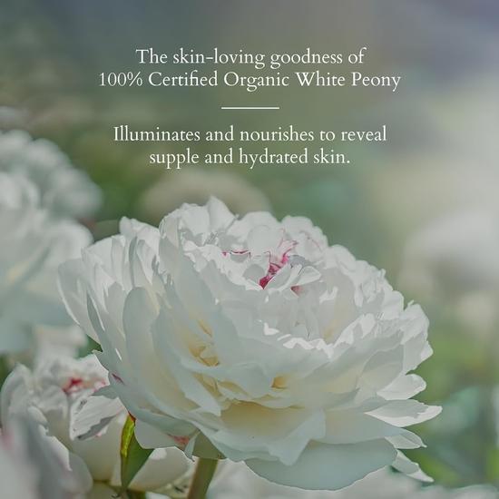 Lotus Organics+ Precious Brightening Cream | For Dark Spots, Blemishes & Pigmentation | SPF 20 Moisturiser | 100% Certified Organic White Peony  | 50g