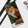 Cute Fox In Autumn Case For Samsung Galaxy A55 A35 A15 A56 A36 A26 A16 A06 A54 A34 A14 A12 A22 A32 A52 A13 A53
