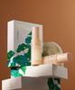 Snail Solution 2-Piece Special Set