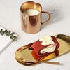 Compact Stainless Steel Tray for Tea Fruit and Jewelry Organization