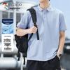 Men's Ice Silk Quick-Dry Polo Shirt