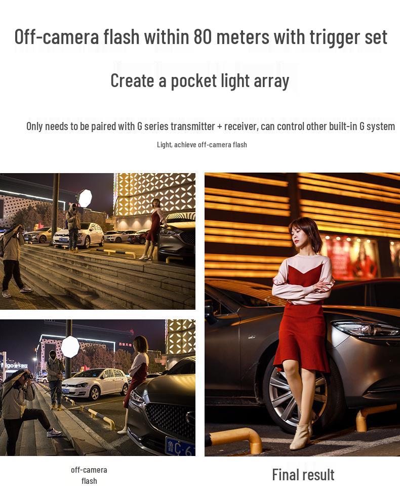 Jiebao TR-950 On-Camera Flash Light