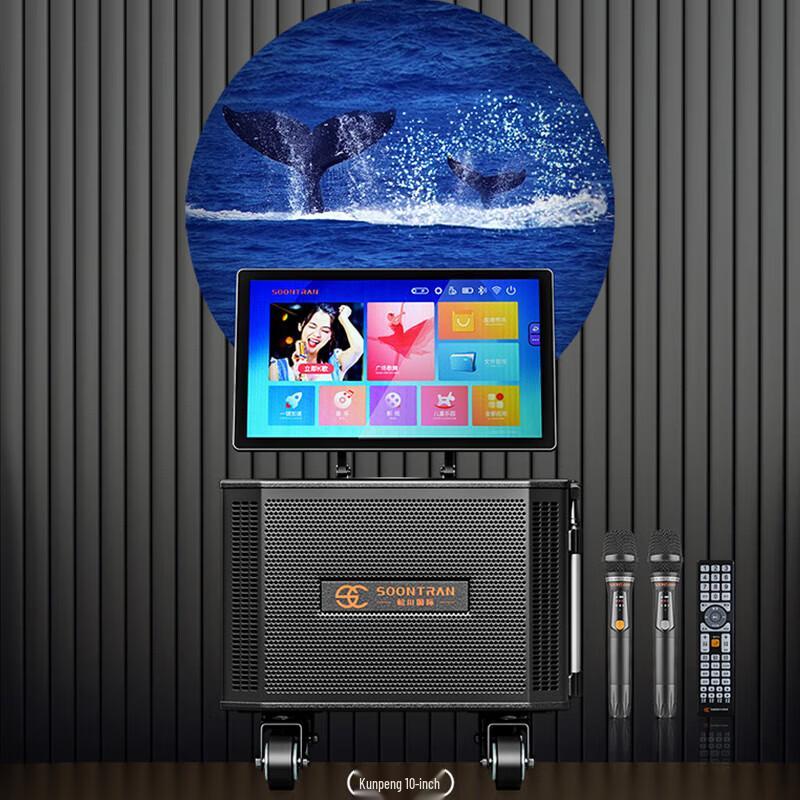 SG30-10 Portable Outdoor Karaoke Trolley Speaker with 19-inch Display CN Plug (adapter Included) (CN Version)