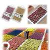 DIY Building Miniature Flower Cluster Plant Materials Static Flower Model  Sand Table