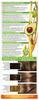 Garnier Color Naturals Hair Cream, Permanent, Nourishing Color, No. 6