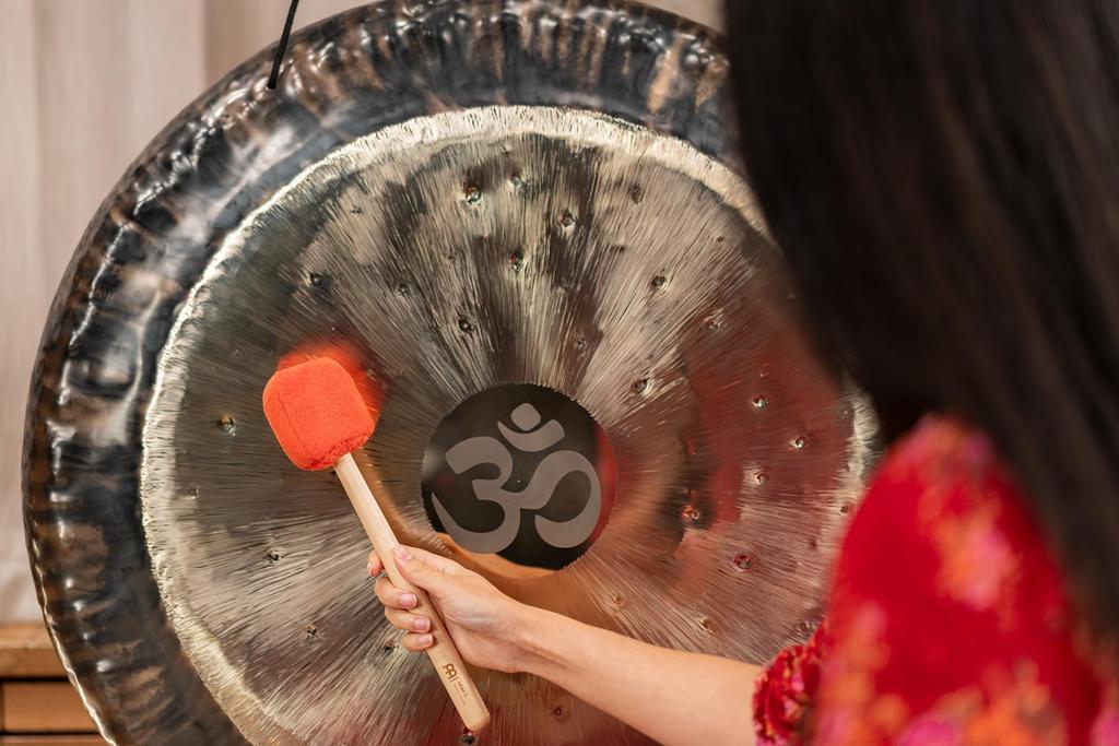 MEINL Sonic Energy Collection Mallet for Gongs, Small, Sweet Tangerine, Made In Germany, MGM-S-ST [Official Japanese Product]