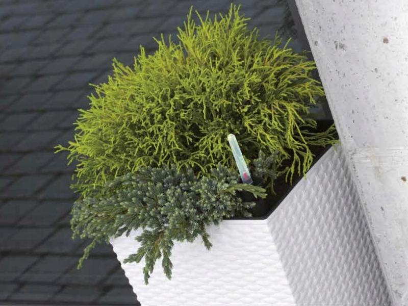 RATO DRTS225L Low Flowerpot with Insert | White