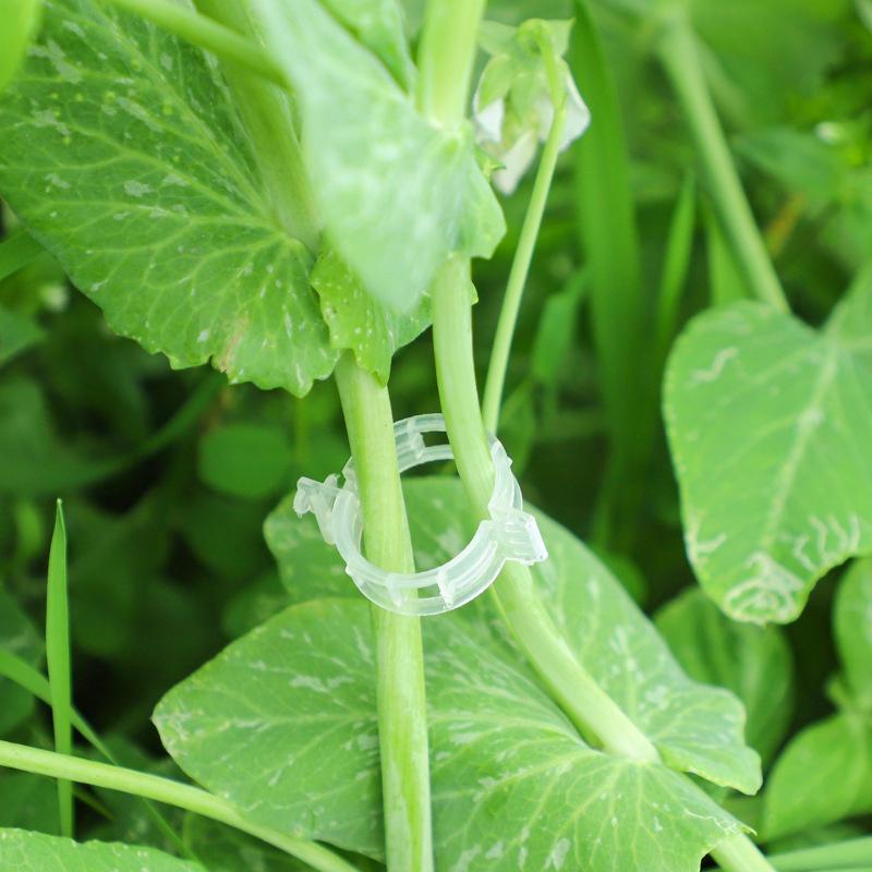 100Pcs Plastic Plant Clips For Climbing Plants Clear Plant Fixing Clip Tomato Trellis Clips Plant Support Clips Vine Fixing Clip
