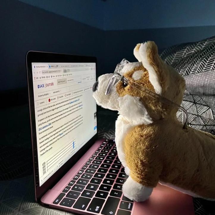 Jc Corgi Betty Plush Toy Stuffed Animal Doll Bedroopm Decoration Gifts Kids