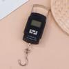 Black Color Electronic Scale 10g Precision Digital Scale Hanging Weighing Scale  Travel Weighing