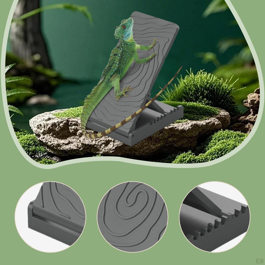 Amphibian Climbing Stand Toy Foldable Exercise Tool Reptile