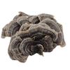 Organiczna herbata ziołowa z grzyba Turkey Tail Naturalne wsparcie energii 500g