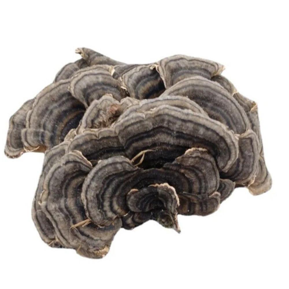 Organiczna herbata ziołowa z grzyba Turkey Tail Naturalne wsparcie energii 500g