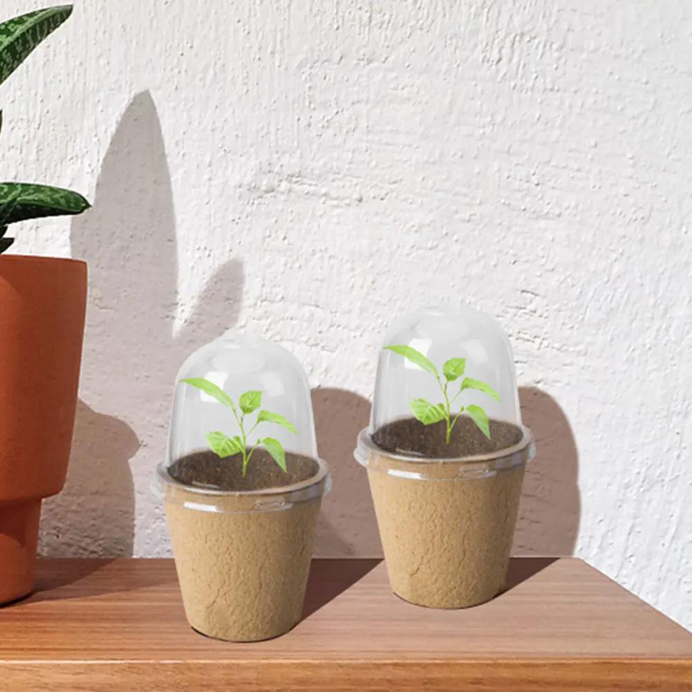 10 buc. ghiveci de cultivare cu capac transparent cutie de reproducere in sera cutie de crestere a plantelor biodegradabile consumabile pentru gradinarit