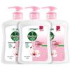 Moisturizing Care Antibacterial Foaming Hand Wash - 3 X 500g Pack