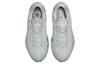 Nike Zoom Freak 4 'Gravé dans la pierre' DJ6149-004