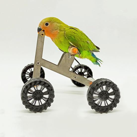 1 sada Papoušek Tréninková hračka na kolo Funny Bird Korela Conure Andulka Mini Kovové 4kolové kolo Nožička na cvičení Vzdělávací hračka pro domácí mazlíčky