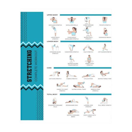 4Pcs Yoga Dumbbell Workout Poster Set Full Body Strength Stretching