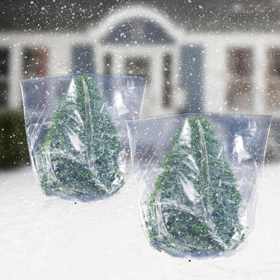 Lot De 2 Housses De Protection Hivernale Pour Plantes - Film PE Transparent 80x60 Cm - Isolation Gel Pour Arbustes, Bonsaïs, Petits Arbres