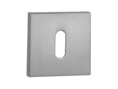 VDS Rosette Chrome Brushed Key R67F