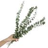 20pcs Eucalyptus Stems Dried Flowers Photography Props For Wedding Centerpiece Farmhouse Home Decoration