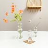 Korean-Style Transparent Glass Flower Vase for Soft Decoration and Photography