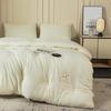Washed Jacquard Antibacterial Silk Cotton Quilt