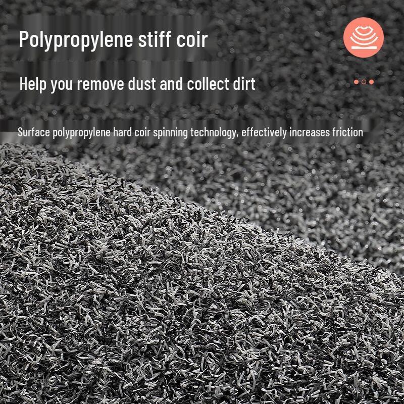 Aige Entrance Dirt-Scraping Doormat