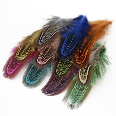 Plumes de faisan multicolores, 50 pièces, 4-8cm, rares et précieuses, pour décoration de fête de mariage, plumes naturelles pour la décoration de la maison