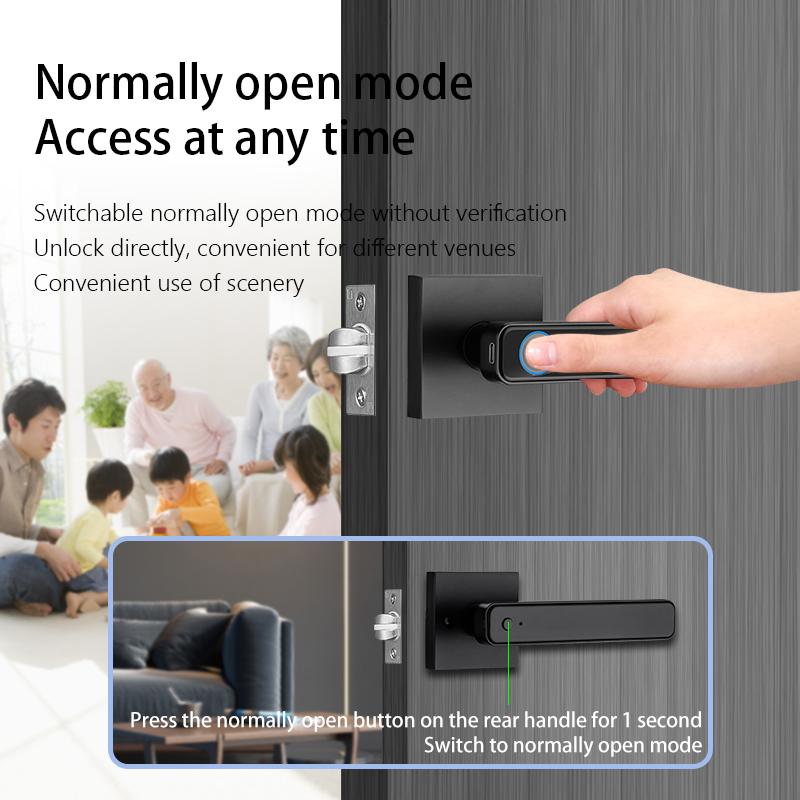 Smart Door Lock TUYA/TTLOCK APP Control Password Handle Lock Type-C Emergency Charge Anti Peeping for 3.5-6.5cm Thickness Doors