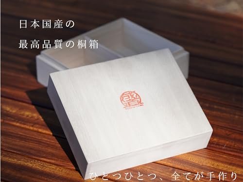 SEIDO Double-Walled Titanium Tumbler, Titanium Glass, Premium Gift, Dishwasher Safe, 300ml (Silver)