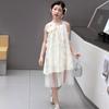 New Summer Dress for Girls with a Rich Family and a Sense of Beauty, Princess Dress, Summer Dress, Children's Dress