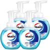 Walch Foaming Antibacterial Hand Wash