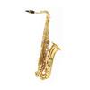 Alto Saxophone Engraved Sax Polished for Lessons, School Band