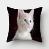 Cute Cat Pet Print Pattern Cushion Cover Home Living Room Sofa Decoration Square Polyester Pillow   45x45cm