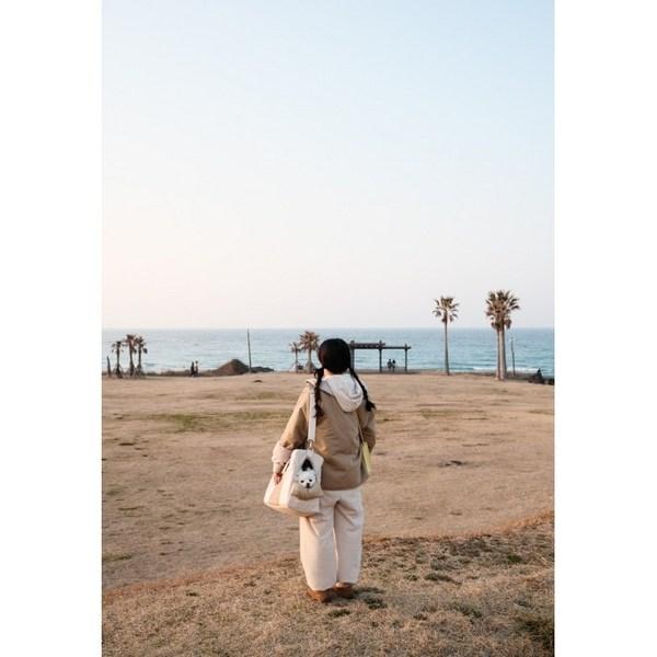 Hunde-Katzen-Tasche, im Inland hergestellte umweltfreundliche Tragetasche, Bord-Katzen-Spaziergang-Träger-Umhängetasche, koreanisches Heimtier-Shampoo