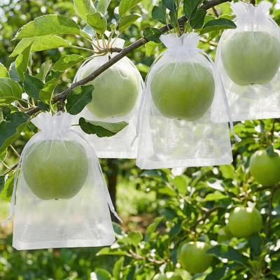 50 PZ Sacchetti Protezione Frutta Rete a Coulisse, 8x12 Pollici Sacchetti Copertura Rete Bianca per Frutta Protettori Frutta Barriera contro Parassiti per Piante Frutta Fiori Verdure