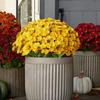 20Pcs Artificial Chrysanthemum 20 Head UV Resistant Fake Silk Flower with Green Leaves Autumn Indoor Outdoor Garden Table Centerpiece Faux Bloom