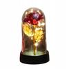 Eternal Rose In Glass Valentine's Day, Valentine's Day, Women's Day