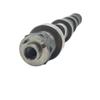 Honda 1.5L Engine Camshaft for GD3 GD8 G12 (14110-RMP-W00 L15A1)
