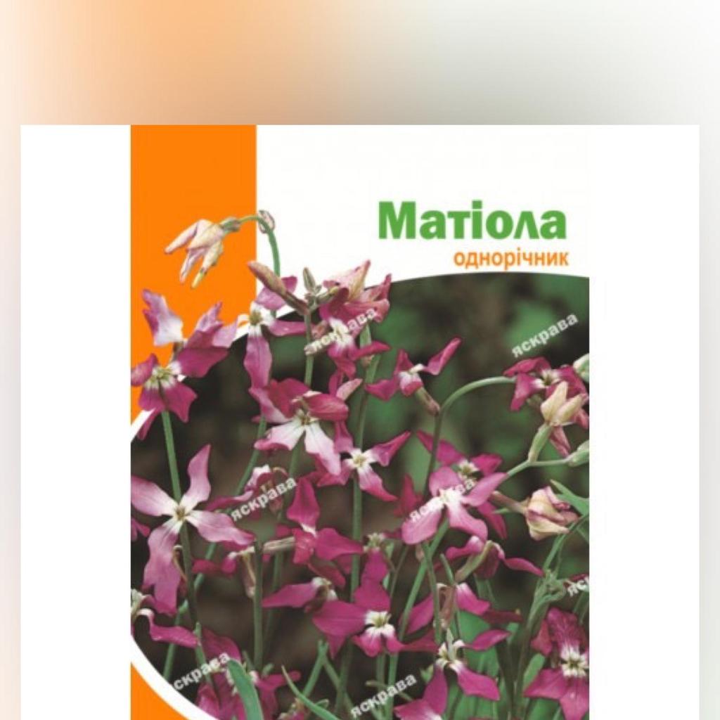 Матиола 10 г - 10 штук купить недорого — выгодные цены, бесплатная ...