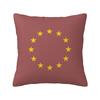 EU Europe European Union European Flag EU Stars Square Pillowcase Cushion Cover Pillow Case Throw Pillow Cover for Home Bedroom