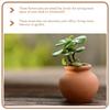 2025 Hot 6Pcs/set Clay Mini Succulent Pots Compact Flowerpots Plants Succulents Decor Gardening Bride Breathable Small